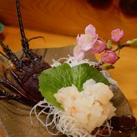 GO GO下田・河津桜と凄っ！菜の花畑&二湯巡り、名店花水季で奮発、伊勢海老をお願いしまっス編