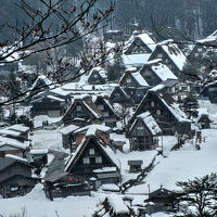 白川郷と飛騨高山ツアー