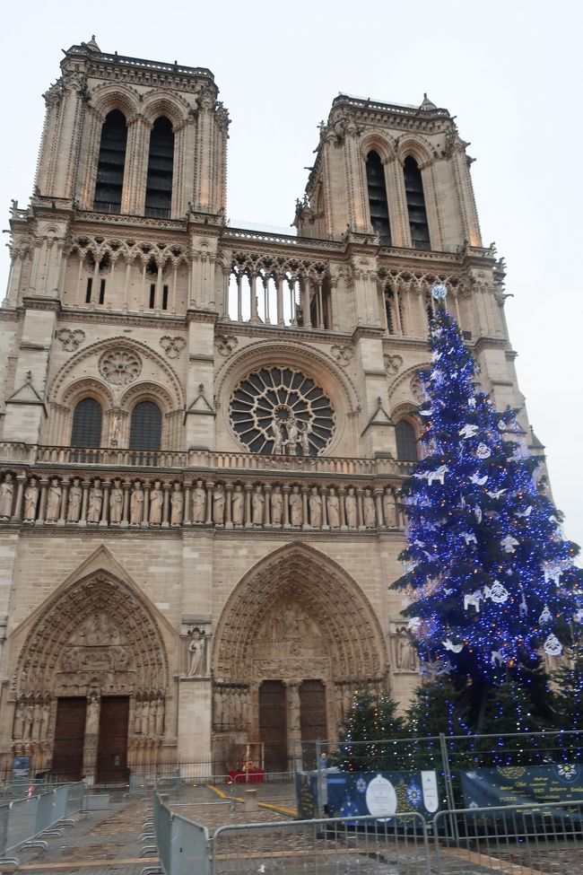 冬休みにフランス旅行に行きました。<br />１２月２３日（日）羽田空港発JL0045<br />１２月２４日（月）シテ島観光、シャルトル移動、シャルトル大聖堂観光<br />１２月２５日（火）ロワール移動、ロワール古城見学、モンサンミッシェル移動<br />１２月２６日（水）モンサンミッシェル観光、ベルサイユ移動<br />１２月２７日（木）ベルサイユ宮殿観光、パリ移動、セーヌ川クルーズ<br />１２月２８日（金）パリ自由行動、オルセー美術館・オランジェリー美術館・ルーブル美術館見学<br />１２月２９日（土）パリ自由行動、オペラ座見学、シャルルドゴール空港発JL0046<br />１２月３０日（日）羽田空港着