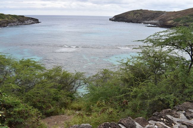 ２２番バスでハナウマ湾へ　　２０１９　～　ハワイ・オワフ島　～