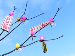 ２月の3連休で秋田・岩手の冬祭りを満喫(1)