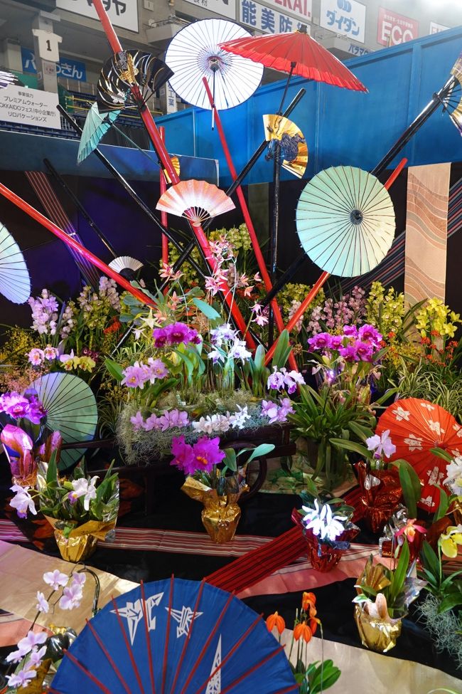 年に一回の世界ラン展 東京ドームの季節が来た、　きれいな花を撮るのはとても気持ちが高揚しますね、　入場料2200円払い荷物チェック後中へ、　枚数は多いですが、ただ花だけですのでささっと。