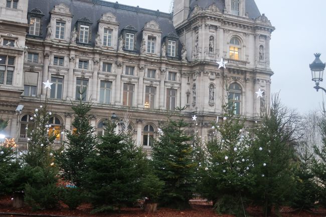 初めてのフランス。フランス語は全く、英語も不安。<br />ということで仕事の調整がつきそうな出発日からツアーを探しました。<br />厳しい寒さとデモを予想して躊躇しましたが、<br />行ってしまえば楽しめるものです。<br /><br />12月23日　2日目パリ市内観光→シャルトル<br /><br />パリ市庁舎もクリスマスイルミネーション