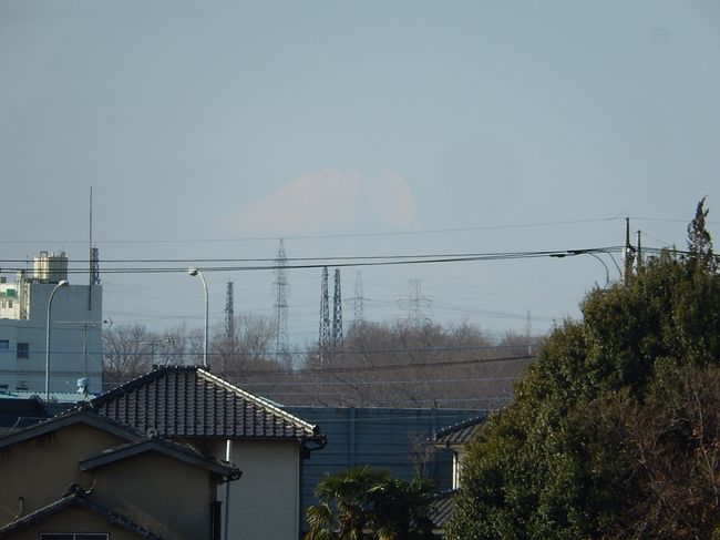 2月17日、午前9時38分頃にふじみ野市より富士山が見られました。　久しぶりですが、この日は暖かい一日であったために少し霞んで見えました。<br /><br /><br /><br />＊久しぶりに見られた富士山