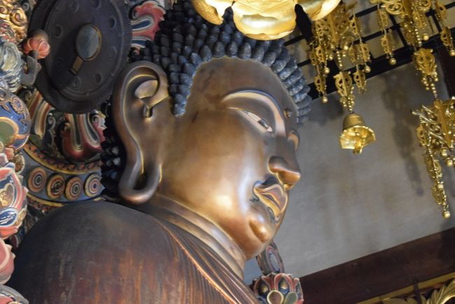 19晩冬 京の冬の旅 仁和寺 転法輪寺 善想寺 と東寺の弘法市 嵐山 嵯峨野 太秦 桂 京都 の旅行記 ブログ By Rosaryさん フォートラベル