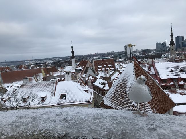 フィンランド旅行 日帰りタリン編 