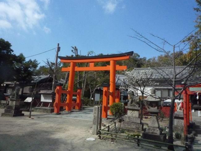 　若ノ浦に、潮満ち来れば潟を波　芦辺をさして鶴（たづ）鳴き渡る　～万葉集・山辺赤人の詠める～<br /><br />　”若ノ浦”は、和歌山市内の「和歌の浦」のことである。<br />　　そもも和歌山という地名は、天下統一をなし遂げた豊臣秀吉が和歌の浦を遊覧した際、この地を治めるために築いた城に和歌の浦にちなんだ名前の「和歌山城」と名付けたのが和歌山の地名の始まりである。<br />　<br />　秀吉も景勝地として遊覧したいと願ったほどの絶景がかつてはこの地にはあった。いまはその絶景は及ばずといったところだが、面影は随所に残っていると思われる。そのひとつが玉津島神社である。<br />　<br />　万葉時代には玉津島神社の周辺には、六つの小高い島山（玉津島六山）があり、これらの島山は潮が引くと陸続きとなり、満潮になれば、あたかも玉のように海中に点在したという。それゆえ玉津島神社なのである。<br />　山部赤人の賛歌に「神代より　しかぞ貴き　玉津島」と詠まれている。風光明媚な神のおわしますところ、として崇められていたのである。<br />　祭神の一人は衣通姫尊（そとおりひめのみこと）である。第１９代允恭天皇の后で、「衣を通して光り輝いた」といわれるほど麗しく、またことのほか和歌に秀でていたため、第５８代光孝行天皇により合祀され和歌三神の神社ともなっている。　他の二社は住吉大社と柿本神社である。<br />　玉津島神社の裏手には安産祈願で有名な塩竃神社も小さく祀られている。<br />　古事記にいわく、山彦が海神のこところへ行けと命じられ、龍宮の豊玉姫と結婚し、姫は安産に寄り御子を授かった。このことから、安産・子授けの神として崇められ、また潮の満ち引きが女性の出産に関係し、潮の功徳により人間が生まれることをも説いていると云われる。<br />　結婚の後、山彦は、塩が人々の食生活に欠かせないものとして全国の８か所に製塩法を伝えたといわれ、その一つが塩竃神社だというのである。よってこの神社は安産の神様なのである。<br />　周辺には紀州藩１０代藩主の徳川治宝建設の不老橋、初代藩主の徳川頼宜建立の妹背山・海禅院などもあり、歴史と文化に満ちた、紀伊、和歌の浦なのである。<br />　歴史や万葉集に関心のある方はぜひ訪れてほしい所なのである。<br />　休日、地元をちょっと散策してみました。<br /><br />