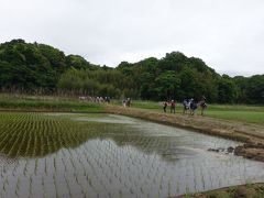 初夏の里山散策会ー千葉県印西市 浦部谷津田の自然と光堂