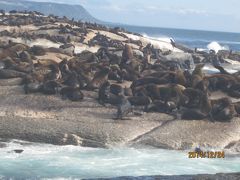 南アフリカのハウト湾