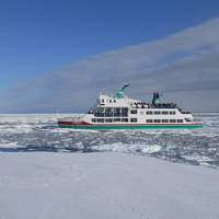 丹頂鶴と流氷とペンギンと盛り沢山　北海道　2019年2月