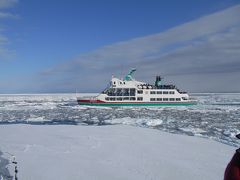 丹頂鶴と流氷とペンギンと盛り沢山　北海道　2019年2月