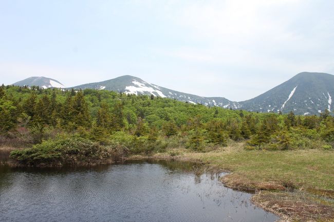 今年も梅雨の時期に4連休が取れました。<br /><br />去年は南の九州へ行ったので今年は東北へ。<br />夫は2回目わたしは初めての東北、どの県に行こうか迷いました。<br /><br />そういえば青森の奥入瀬渓流に行ってみたかったなぁと思い出し、調べてみると青森だけで見所がたくさん。<br />今回は奥入瀬渓流と津軽半島を回ることにしました。<br /><br />１日目<br />この時期に何を着ればいいのか迷いましたが、天気予報を見るとそんなに涼しくもなさそう。<br />この日は愛知とほとんど変わらず薄手のTシャツに麻のカーディガンでちょっと暑いくらい。<br /><br />まずは空港から奥入瀬渓流の間を観光しながらドライブ。<br />萱野茶屋と睡蓮沼へ立ち寄りました。<br />山の中や睡蓮沼に入っていくとまだ雪が残っていてびっくり。<br />山道はところどころ車道にも巨木がはみ出してましたが、運転しやすい道でした。<br /><br />午後は奥入瀬渓流をのんびり散策して蔦温泉に泊まりました。<br /><br />２日目<br />9時に蔦温泉を出発。<br />城ヶ倉大橋に着くと大橋の脇にあった温度計は13度！<br />寒くて凍えながらも橋の下を見ると川が遠い！<br /><br />天気が悪くて寒いのと朝ごはんをたっぷり取ってお腹が空かないのでどこか屋内で観光できる場所へと考えて、時間があったら行ってみたかったこけし会館へ寄りました。<br /><br /><br />6/5 萱野茶屋、睡蓮沼、奥入瀬渓流  <br />6/6 蔦沼、城ヶ倉大橋、弘前（城、洋館）<br />6/7 斜陽館、津軽三味線会館、竜飛岬<br />6/8 立佞武多の館、鶴の舞橋、金太郎温泉、青森市ベイエリア散策