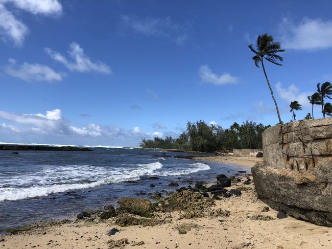 フラダンスクラスの友人たちと、ハワイ旅行へ。家族以外と行くのは、初めてでした。<br /><br />12回目のハワイということで、私が計画やらガイドやらの役目を引き受け、初ハワイの人が3名いるので心配しながらも<br />楽しい旅行となりました。(少し詰め込みすぎたかも)<br /><br />4日目 JALパックのバスツアー「ホクレア」でノースショア~夜は「ビショップミュージアムのナイトツアー」<br /><br />5日目は、帰国日でした。