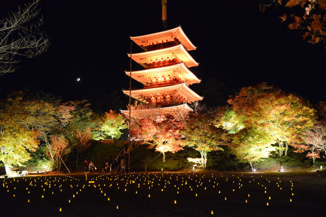 ライトアップされている成相寺に出掛ける。 <br /><br />府中駅から笠松公園へはケーブルカー(乗車時間4分)と登山バス(乗車時間7分)を乗り継いで登る。<br />この日、ケーブルカー・登山バスは、無料運行(PM5:20~PM8:20)でした。 <br />そして、元伊勢籠神社の駐車場が、イベント駐車場として、無料開放されていました(PM5:00~PM10:00)。<br /><br />・成相寺 <br /> 日本三景天橋立を望む景勝地にあり、西国巡礼第28番の札所。身代わり観音のお話で知られる願い事がかなう(なりあう)お寺として有名。本尊は聖観世音菩薩で美人観音としても知られ、お参りすれば身も心も美しくなれると伝えられています。春は桜・しゃくなげ、秋はもみじなど花の名所としても人気です【天橋立観光ガイドより】<br /><br />・成相寺のHP<br /> http://www.nariaiji.jp/