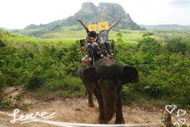 タイに再燃(*>ω<*)｡★*ﾟ｡*｡ 大人女子旅 【３】　ゾウさんにはバナナを、大人女子にはグリーンカレーを