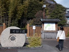 ０６．岳鉄沿線を楽しむ富士日帰り　竹採公園