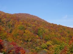 紅葉の鍋倉山へ