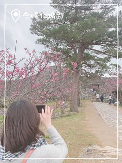 冬の沖縄旅☆北部で桜とステキなプチホテルステイ②～森cafeハコニワと寒緋桜～