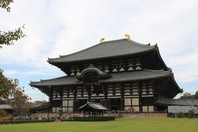 東大寺と元興寺へ行きました。