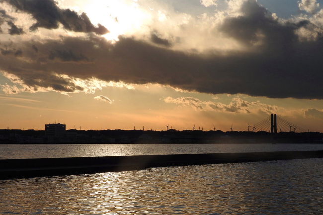 　神栖市波崎でバードウォッチングを楽しみました。<br /><br />表紙写真は、利根川河口付近（銚子大橋の下流側）の風景です。<br />