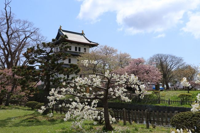 2018年5月、南北海道の桜を楽しみました。その1　松前の桜をご紹介します。<br />松前城は福山城とも呼ばれる平城で、わが国最北に位置する城です。