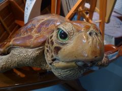 鳥羽水族館　2時間じゃ足りない