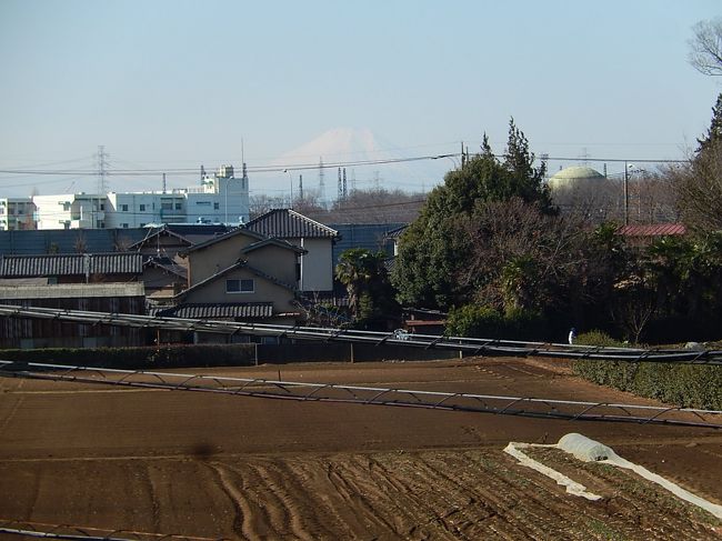 2月21日、午前９時50分過ぎにふじみ野市より富士山が見られました。　昨日より春らしい陽気のためか少し靄って見えました。<br /><br /><br />＊写真は見られた富士山