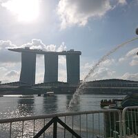 シンガポール②「マリーナベイサンズ セントーサ島 ナイトサファリ シンガポールフライヤー」