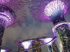 シンガポール①「マーライオン ガーデンズバイザベイ シンガポール植物園 ブギス チャイナタウン」