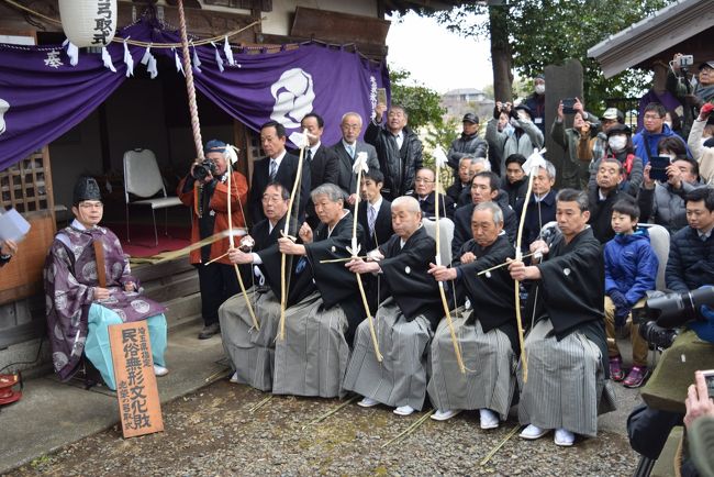 去年見逃したので今年は早めに