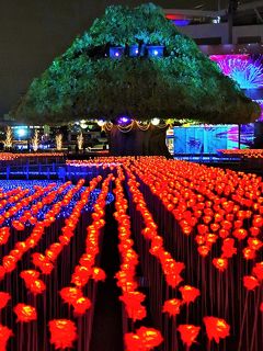 東京 MEGA イルミ-9  大きなTREE・バラは制御LED光　☆3Dプロジェクションマッピングも