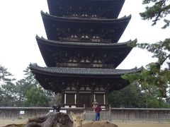 2019 奈良　2～唐招提寺・薬師寺・興福寺　 