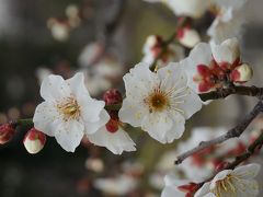 関西散歩記～2019-2 京都・京都市下京区編～