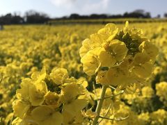 関西3府県めぐり