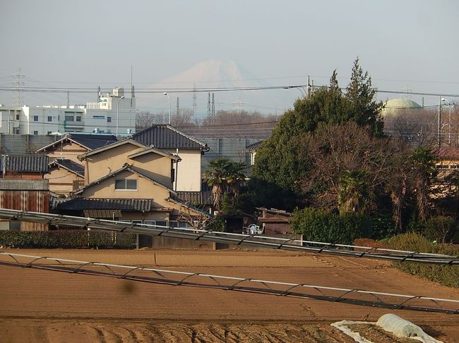 2月22日、午前7時46分頃にふじみ野市より富士山が見られました。<br /><br /><br /><br />＊写真は午前7時46分頃に見られた富士山