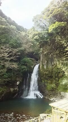 河津桜見物の帰り道は天城越え~河津七滝散策よ