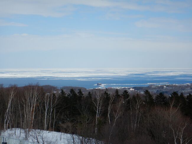 ここ何年か、冬に北海道に行き寒さに体を慣らしてきました。<br /><br />そして今年、ついに流氷を見に極寒のオホーツク海へ。<br /><br />凍結した路面に対応するように冬用のブーツを買ったり、防寒用のグッズを買い込んだ割にちっとも寒くなかったのですが、最初知床、次に網走で見た流氷は地球のパワーを知るのに十分でした。<br /><br />この時期の北海道、いいですね。<br />次は同じような拠点で、川湯や摩周湖など行ってみたいです。