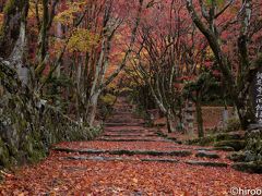 湖北、湖東の名刹　紅葉三昧