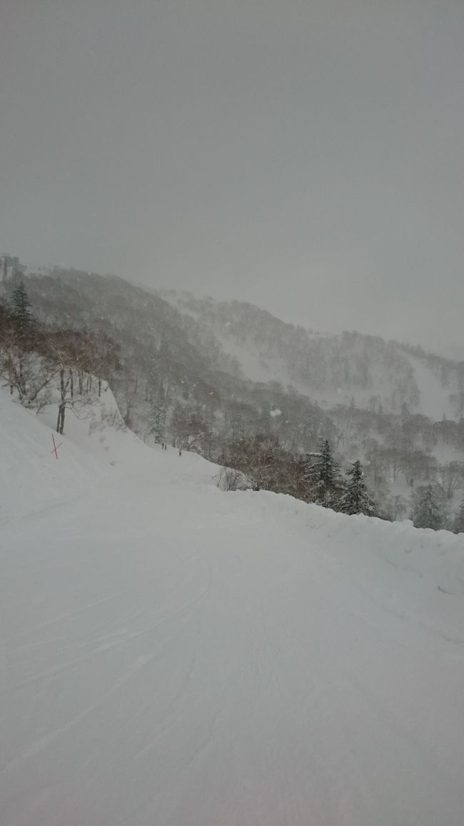 この数日ぽかぽか陽気。<br />なのにキロロは天気が悪かった。ひどーーい。<br />今シーズン2回目の家族スキーです。<br /><br />2年ぶりのキロロ。前はコース外に出るのは禁止で、アナウンスもうるさかったけど、今は自己責任で、救助の場合は有料ってことでコース外OKになっていました。<br /><br />まぁでも、沢もあるし、大きな穴もあるし、雪は深いし、やっぱりコース外なんだなという感じ。<br /><br />リフト割引券で大人3600×2,こども1600×2<br />■10400円