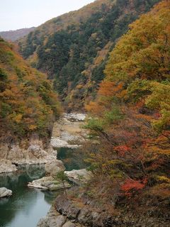 ひとり紅葉狩り部 2008　鬼怒川・塩原へドライブ