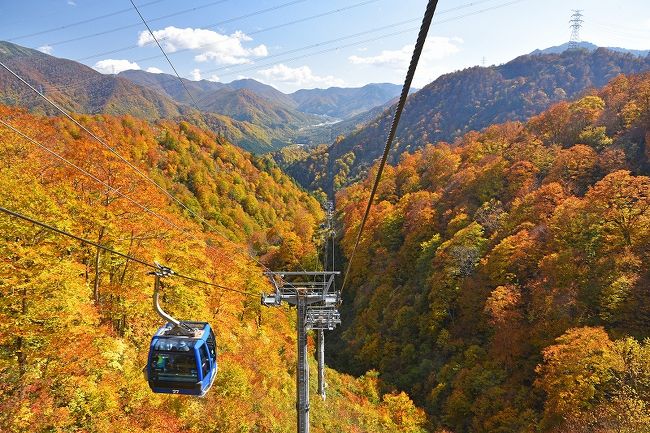 毎年秋になると、泊りがけで紅葉ドライブに行きたくなる。2017年は群馬県の宝川温泉に一泊して、照葉峡や谷川岳に行って来た。<br /><br />2018年は、越後湯沢の苗場にある名物ロープウェイのドラゴンドラで苗場から田代高原にかけての紅葉を見てから苗場プリンスホテルに宿泊し、翌日は魚沼の奥にある奥只見ダムに行くことになった。<br /><br />第一回目は、紅葉ドライブ1日目の苗場のドラゴンドラからの紅葉見物の模様となる。