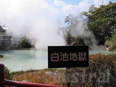 2019年 水族館遠征は大分から