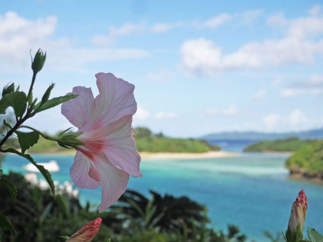 川平湾の美しさに感動、そして幸運のウミガメに出逢った♪【初めての沖縄離島(2)石垣島編】