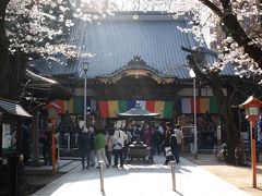 桜ほころぶ川越　御朱印巡り　川越八幡宮、川越熊野神社、蓮馨寺、見立寺、喜多院、日枝神社