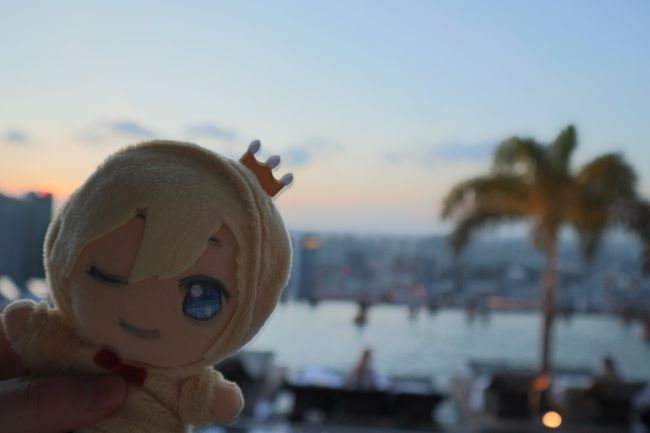 次女の高校卒業&大学入学祝を兼ねての旅行です<br />次女がどーしても会いたかった人気者を尋ねましたヽ(^o^)丿<br /><br />2/14(木) 関空→シンガポール <br /> マリーナベイサンズ宿泊<br />2/15(金) ユニバーサルシンガポール<br /> ヒルトン宿泊<br />2/16(土) カトン地区、チャイナタウン<br /> ヒルトン宿泊<br />2/17(日) シンガポール→パース<br /> ペンシオーネホテル宿泊<br />2/18(月) キングスパーク、ピナクルズサンセットツアー<br /> ペンシオーネホテル宿泊<br />2/19(火) ロットネスト島<br /> ペンシオーネホテル宿泊<br />2/20(水) フリーマントル<br /> パース→シンガポール<br />2/21(木) シンガポール→関空<br /><br />初めてのシンガポール空港☆<br />知り合いのお嬢様がCAの面接試験を受けに行って<br />椅子に座って待っていると<br />面接官がやってきてみんなの前をスッと通りすぎ<br />「今日は面接にお越しいただきありがとうございました。<br /> この中には適合者はおられないのでお帰りください。」<br />と、一括されたという伝説の世界一の航空会社です!!<br />どんなCAか楽しみ~~~♪<br />