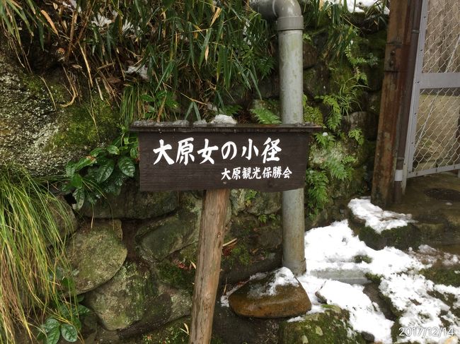 何度となく訪問している京都  今回は一人旅ということで 紅葉が終わり 年末に向け再び人が多くなりそうな 隙間を狙って この時期 12月中旬 に4泊5日 と 国内にしては長旅をしてきました<br />京都に行くのは 桜の美しい頃、そして紅葉、冬休みの頃など いずれも人が多い頃がほとんど！  更に近年の海外からの観光客でその頃の京都は 流石にもう行きたくない・・と思うほど    今回は隙間時期？だったので 市内のバスも 普通に乗れてのんびり！ 有名な神社仏閣などはそこそこ人は多かったけれど 銀閣寺近くの 法然院 など 2人   三千院も2人 という感じでした   交通インフラの弱い京都では バスが利用し辛いと最悪です      2~3年前、紅葉の頃出かけた時は 市内でバスに乗りたくても 渋滞でなかなか来ない  やっときたと思うと 一杯で 次のバスに乗ってと言われ・・・時間ロスが多かった       確かに美しい桜色も ため息が出るほどの紅葉も無いけれど ゆっくりのんびりじっくり歩いてお茶して・・・一人でで楽しめるのかしら？と不安だったけれど 充分楽しめた<br />今年も 出かけるつもりです！ 今年は京都を中心に奈良神戸にも足を伸ばしてみようと思います<br />