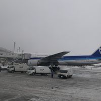 北海道旅行1日目前半　第70回さっぽろ雪まつり