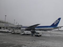 北海道旅行1日目前半　第70回さっぽろ雪まつり