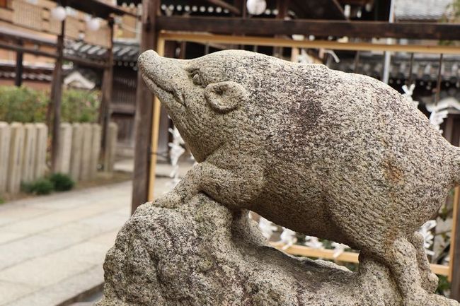 京都おでかけ・前半です。<br /><br />建仁寺塔頭・禅居庵<br /><br /><br />ヨタの鬼セレブレーション