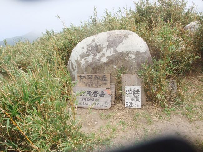 　２０１７年は２月と４月の2度、八重山諸島の石垣島へ出かけた。沖縄県の最高峰で新日本百名山の於茂登岳５２５．５ｍに登るためである。２０１６年夏、本州最北端の下北半島の新日本百名山・大尽山を登り終えた時点で、私たち夫婦の間で次に登る新百名山として候補に上がったのが於茂登岳だった。<br />　石垣島は亜熱帯だから寒い季節が良いだろうと、登山時期を２月と決め、１２月には飛行機のチケットと宿をとった。準備万端整って、出発を待つだけになって、急に夫の持病のリウマチが悪化、キャンセルも考えた。結局２月は下見と観光だけにし、４月にまた登りに行った。<br />　今度は於茂登岳登山の下見もできていたので、余裕を持ってのんびり登ることが出来た。下山後には野底マーペにも登れ大満足したのだった。
